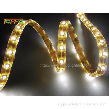 Queeen Series LED Decorative Lighting